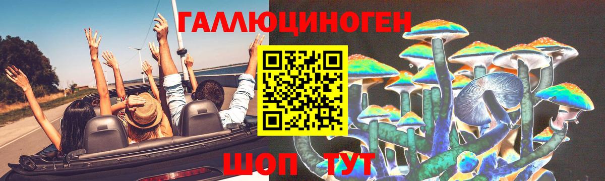 Псилоцибиновые грибы Cubensis Мурино