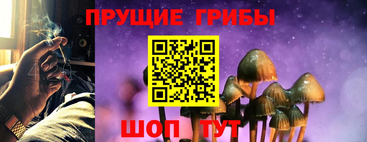 Галлюциногенные грибы Psilocybine cubensis  Вход с VPN  Мурино 
